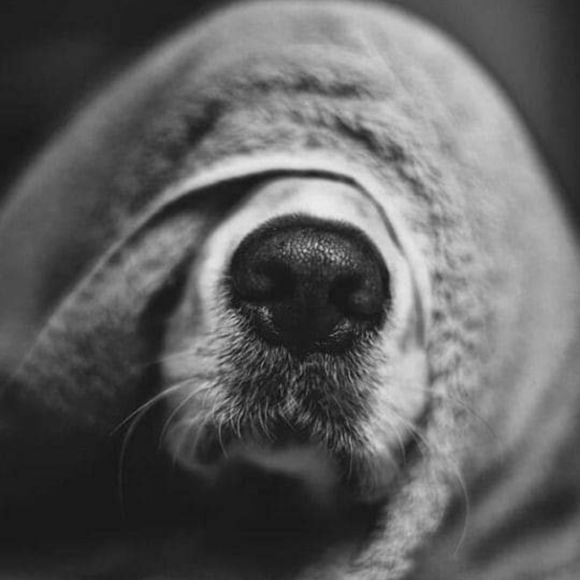 Meet your Posher, Stefanie - Picture 6 of 8